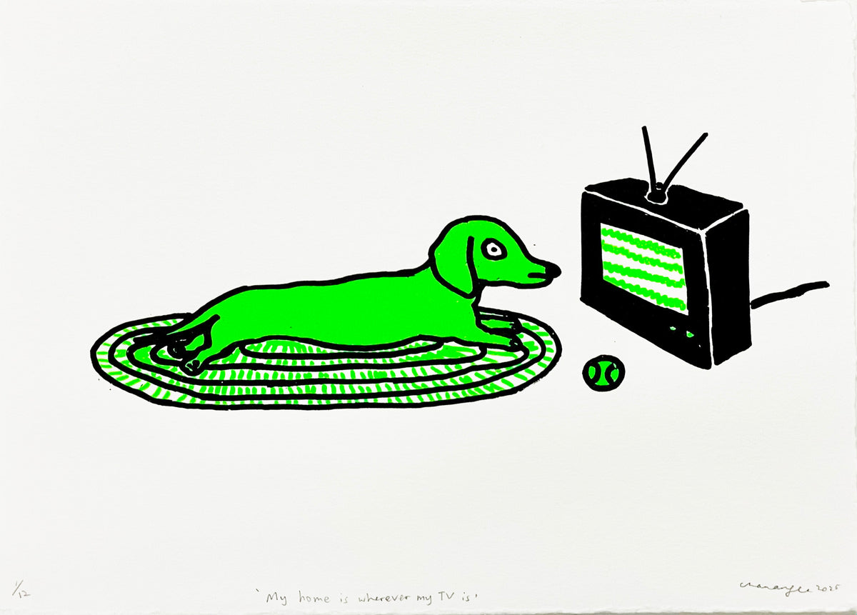 My Home is wherever my TV is